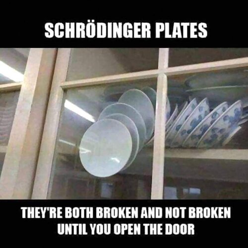 Shrodinger’s Plates